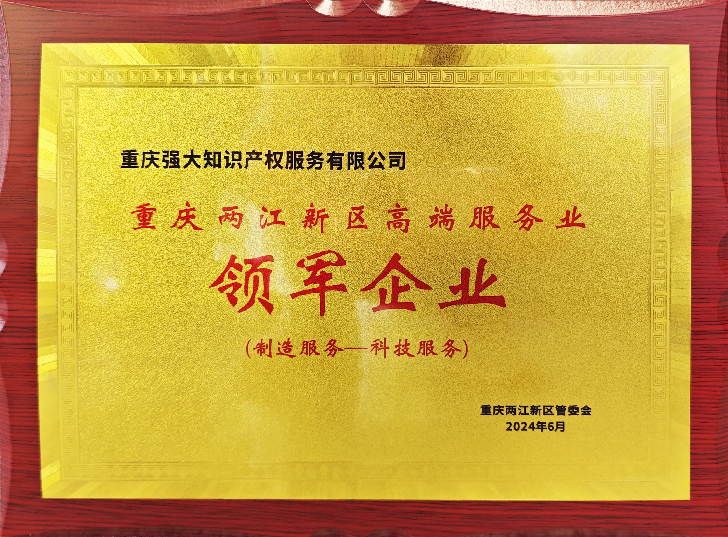 領(lǐng)軍企業(yè)調(diào)亮.jpg